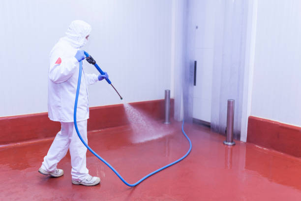 Trusted Warner Robins, GA Pressure Washing Services Experts